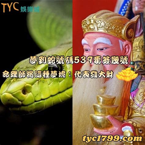 看到蛇|【看見蛇代表什麼】看見蛇代表什麼？民俗專家揭露傳統文化中的。